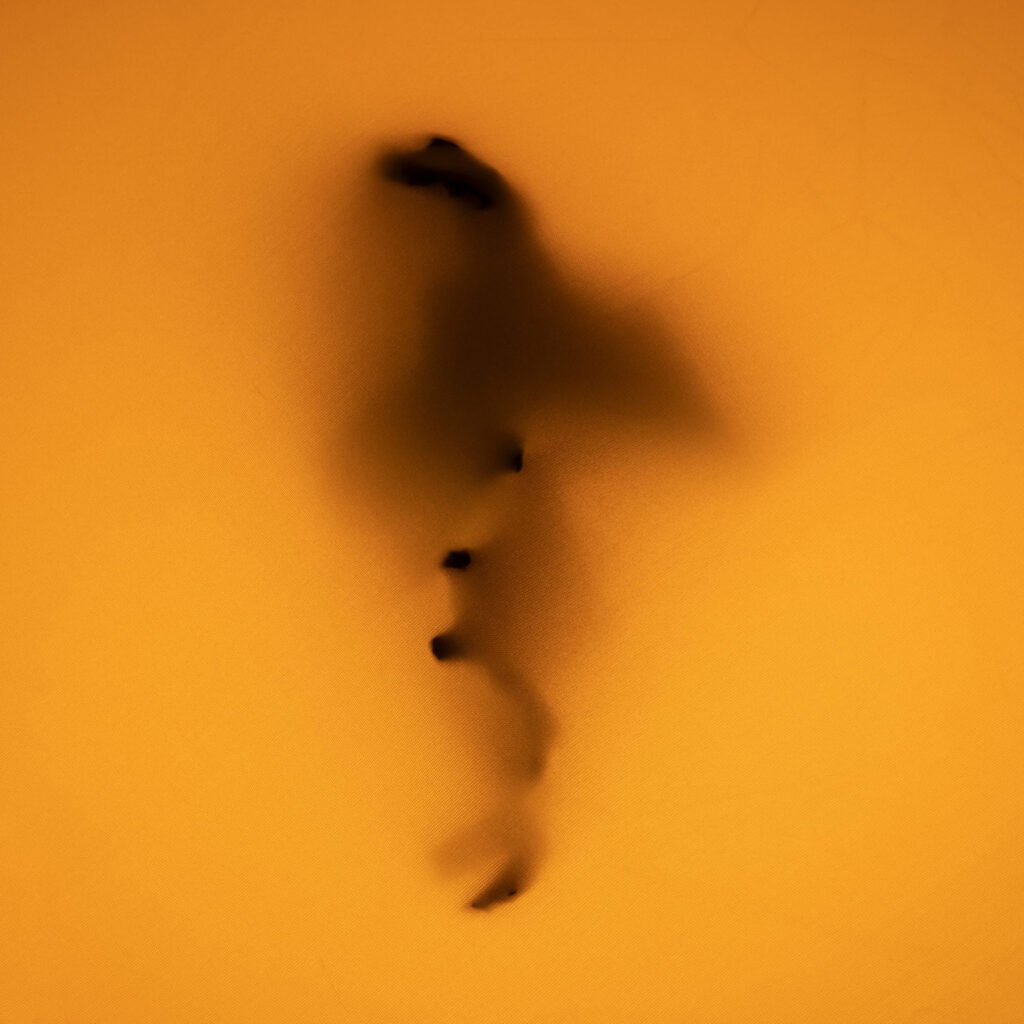 FLIP (1)