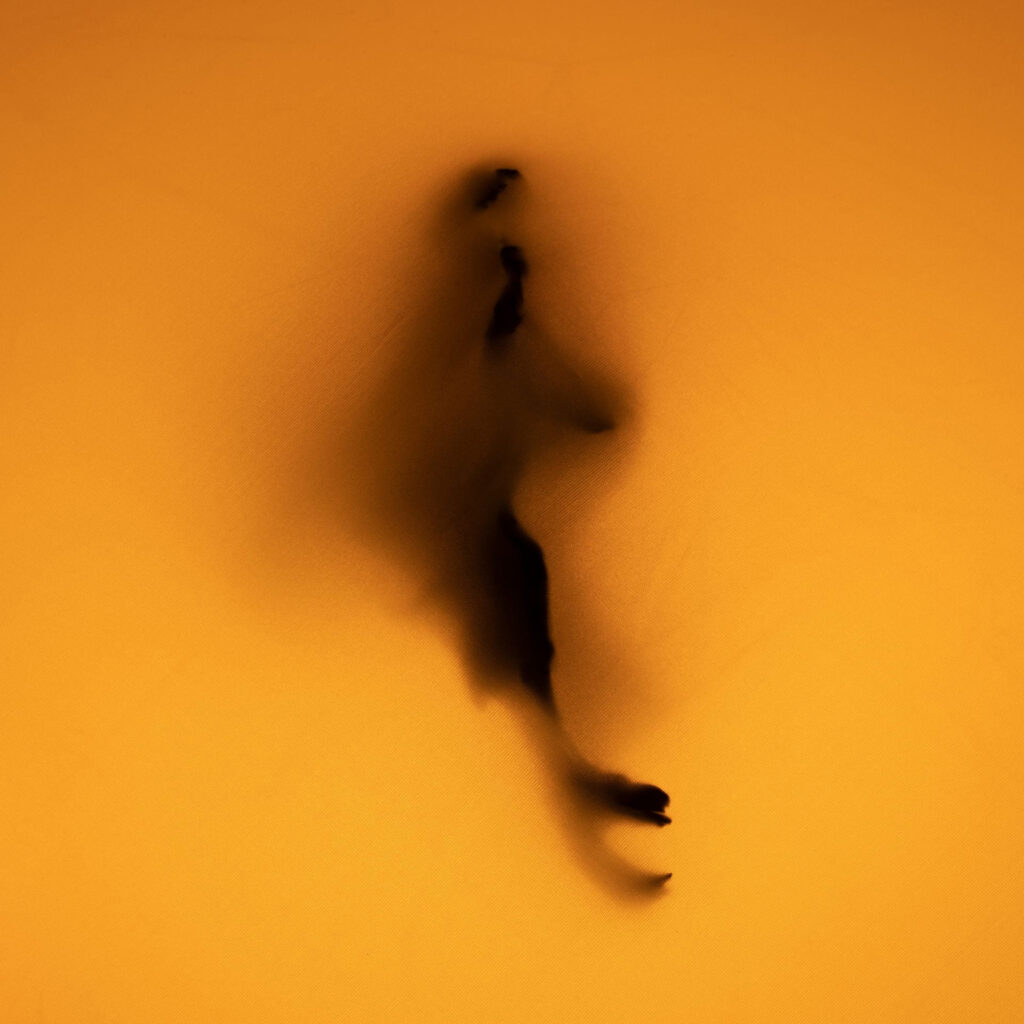 FLIP (2)